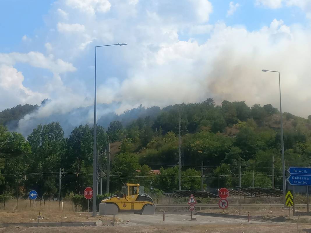 Bilecik'te orman yangını! Havadan ve karadan müdahale ediliyor 5